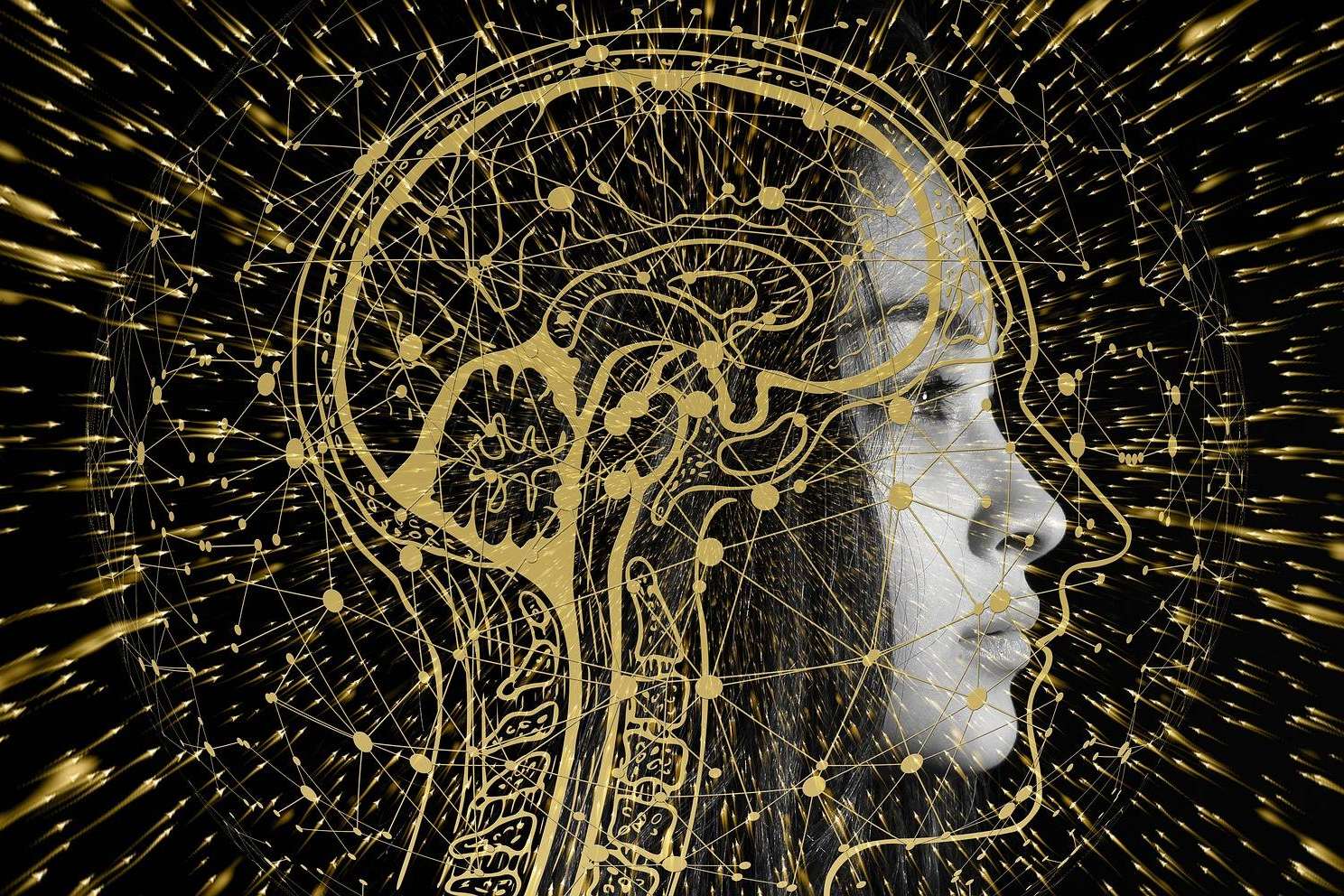 Ejercicios de integración hemisférica para lograr un rendimiento óptimo del cerebro