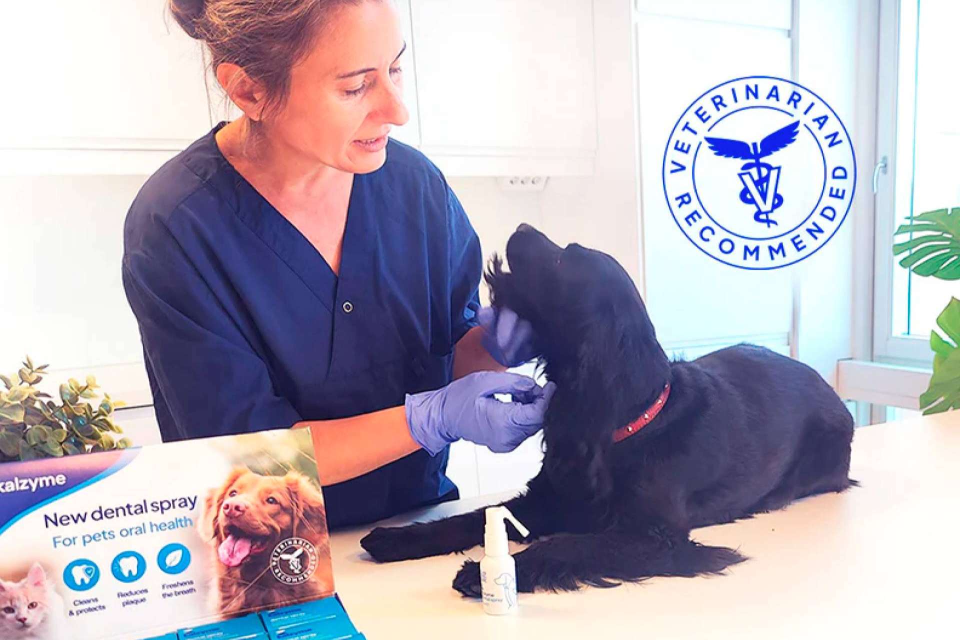 Kalzyme, el spray enzimático que revoluciona la salud bucodental de los perros