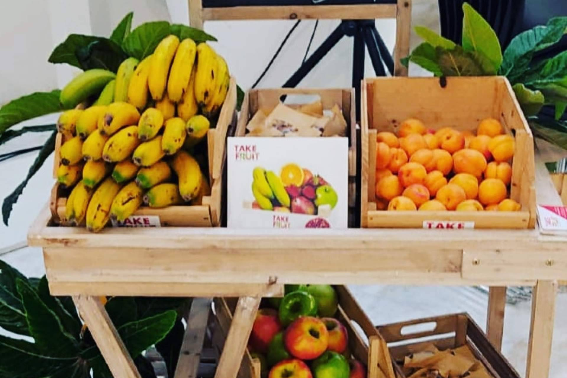 La fruta para empresas y oficinas se consolida como motor de bienestar laboral con Take Fruit