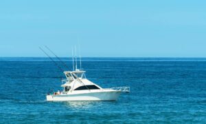 El Seguro de mi Barco apuesta por un modelo de asesoramiento experto para proteger embarcaciones de recreo